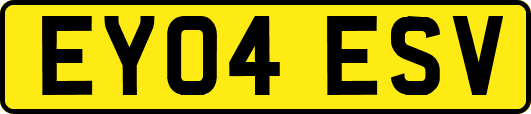 EY04ESV