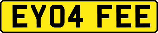 EY04FEE