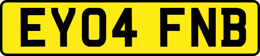 EY04FNB