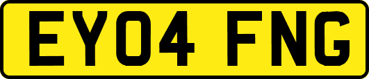 EY04FNG