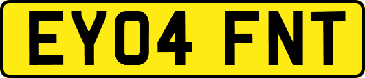 EY04FNT