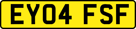 EY04FSF