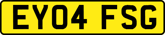 EY04FSG
