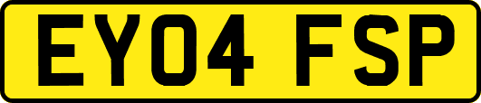 EY04FSP