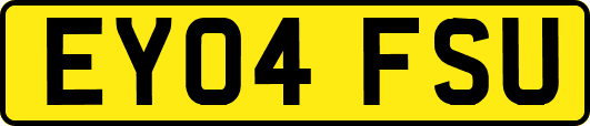 EY04FSU