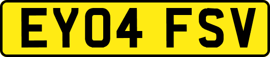 EY04FSV