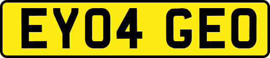 EY04GEO