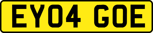EY04GOE