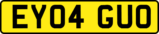 EY04GUO