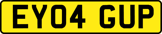 EY04GUP