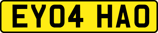 EY04HAO
