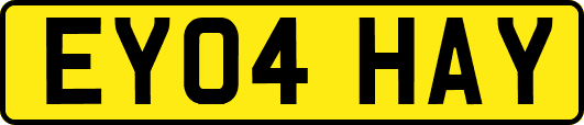 EY04HAY