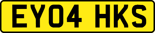 EY04HKS