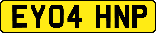 EY04HNP