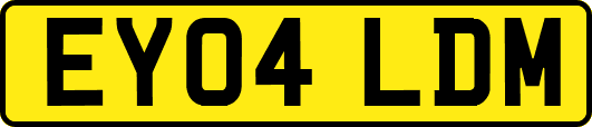 EY04LDM