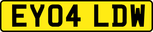 EY04LDW