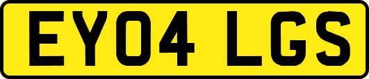 EY04LGS