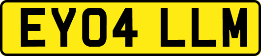 EY04LLM