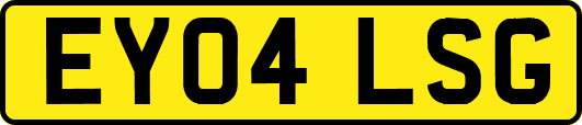 EY04LSG