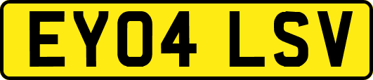 EY04LSV