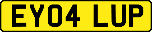 EY04LUP
