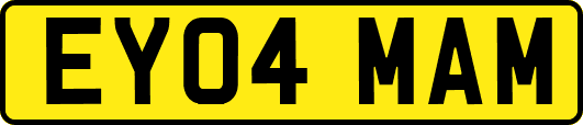 EY04MAM