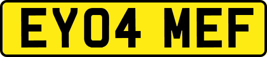 EY04MEF