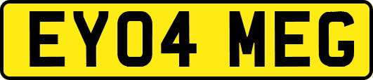 EY04MEG