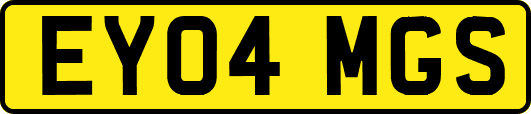 EY04MGS