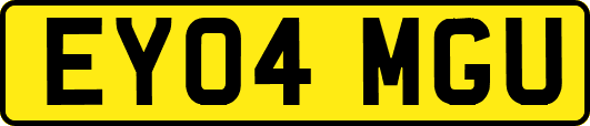 EY04MGU