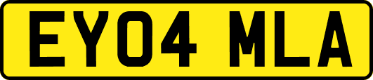 EY04MLA