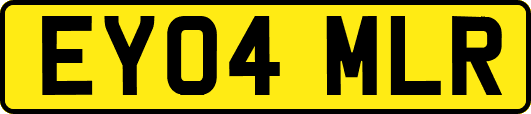 EY04MLR