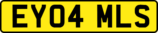 EY04MLS
