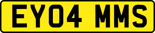 EY04MMS