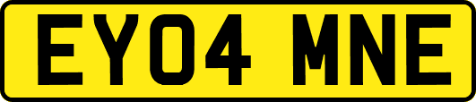 EY04MNE