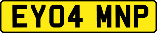 EY04MNP