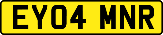 EY04MNR