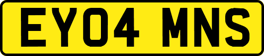 EY04MNS
