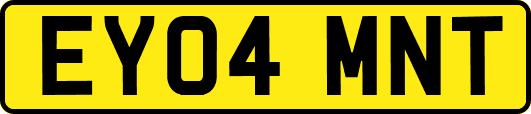 EY04MNT
