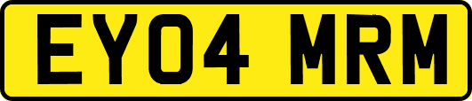 EY04MRM