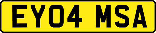 EY04MSA