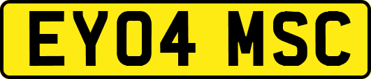 EY04MSC