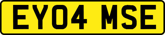 EY04MSE