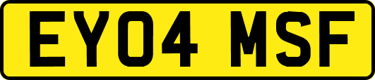 EY04MSF