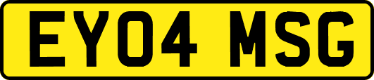 EY04MSG