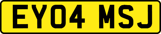 EY04MSJ