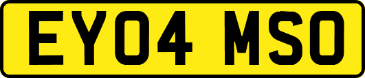 EY04MSO