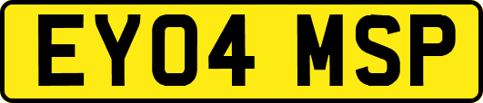 EY04MSP
