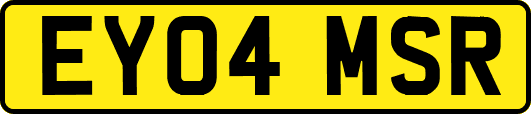 EY04MSR