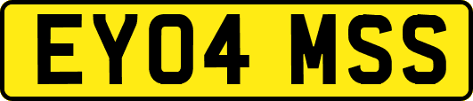 EY04MSS